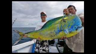 Worlds Biggest Dorado Mahi Mahi Ever Caught [upl. by Othilia688]