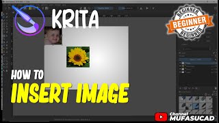 Krita How To Insert Image [upl. by Phillips]