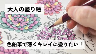 大人の塗り絵 グラデーションをつけながら薄くキレイに塗りたい！塗り方を工夫してみました [upl. by Rocray]