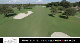 Bay Hill Hole 12 Flyover [upl. by Sesiom884]