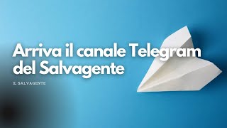 Arriva il canale Telegram del Salvagente [upl. by Inglebert815]