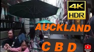 NEW ZEALAND AUCKLAND CBD WALK newzealand buhayofw ofw auckland glazier joinery [upl. by Hayden]