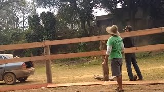 Construção de Redondel para cavalos  doma de cavalos treinamento  Rancho Matuto Bragança Paulista [upl. by Eserrehs]