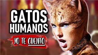 GATOS HUMANOS Cats en 10 Minutos  Yo te Cuento [upl. by Aidni290]