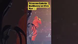 ‘ tu no metes Cabrá ‘ badbunny en vivo 2024🗽 [upl. by Irra]