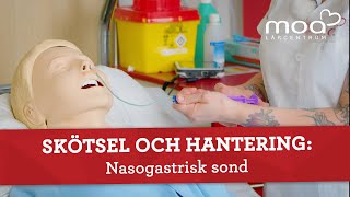 Skötsel och hantering  Nasogastrisk sond [upl. by Nesahc]