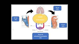 Central venous oxygen saturation ScvO2 [upl. by Nicole903]