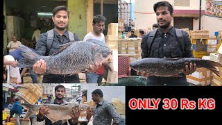 Begum Bazaar Wholesale 😱 Fish Market 🐠🐋🐟 Sabse Sasti Fish Market [upl. by Sanfred]