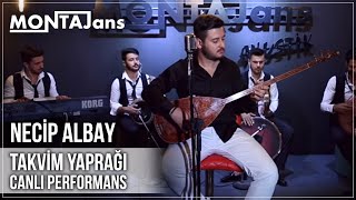 Necip Albay  Takvim Yaprağı Canlı Performans [upl. by Godliman]