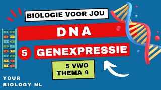 5 vwo  DNA  5  Genexpressie [upl. by Aem]