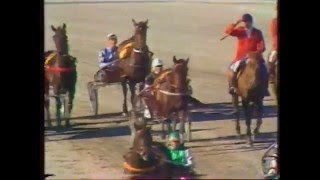 1985 Benson amp Hedges FFA  Addington Christchurch Preux Chevalier [upl. by Pedersen]