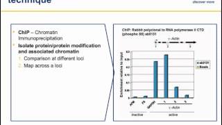 Chromatin Immunoprecipitation ChIP principles and troubleshooting [upl. by Einrae620]