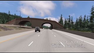 Connecting Wildlife Habitat Under and Over I90 [upl. by Angelica]