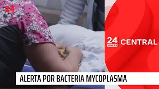 Mycoplasma brote de bacteria que afecta principalmente a niños  24 Horas TVN Chile [upl. by Ahsaele]