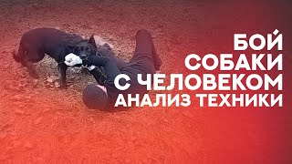 Настоящий бой собаки против человека Анализ техники Analysis of doghuman fighting technique [upl. by Aliuqet]