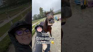 Il mio cavallo è vanitoso🤣🤦🏻‍♀️😎 [upl. by Savinirs]