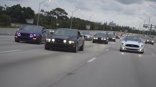 MUSTANGS TAKE OVER HIGHWAY [upl. by Ciredor]