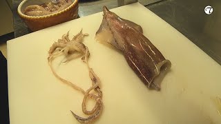 diy  Wie putzt man einen Tintenfisch TopfguckerTV [upl. by Brockwell356]