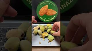 NONPAREİL BADEM EL BADEMİ  Nonpareil Almond [upl. by Oneida561]