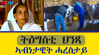 ኣብነታዊት ሓረስታይ  ወሮ ትዕግስቲ ህንጻ  ፍረጻዕሪ  Exemplary farmer Mrs Tigisti Hintsa  fere tsaeri ERiTV [upl. by Nitsua]