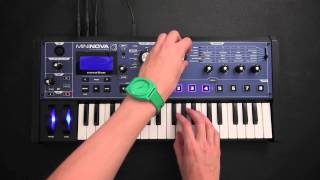 Novation  Dorian Concept x MiniNova [upl. by Kcirdde]