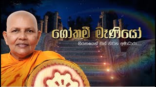 🔴 Introduction Video  Gothami Maniyo  ගෝතමී මෑණියෝ  Srilanka  Sinhala [upl. by Kimberli]