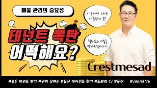 호주 브리즈번 CJ 부동산  Crestmead 호주부동산 부동산 브리즈번 [upl. by Aniahs]