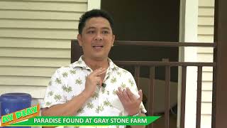 Ay Diay Gray Stone Farm [upl. by Gnok]