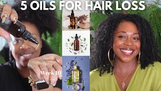 5 Oils that Prevent Hair Loss WEEK 10 Ayurvedic Hair Challenge [upl. by Alliuqa]