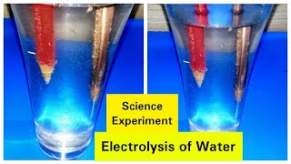 Electrolysis Science Experiment of Water and Salt  Easy Science Fair Project for Students [upl. by Hameerak141]