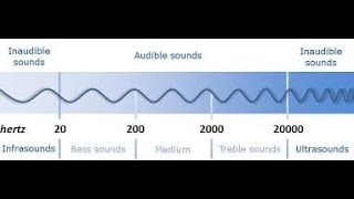 Ultrasound vs Infrasound [upl. by Roter716]