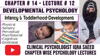 Development in Infancy and Toddlerhood  Developmental Psychology Psychology Lectures Urdu amp Hindi [upl. by Letty]