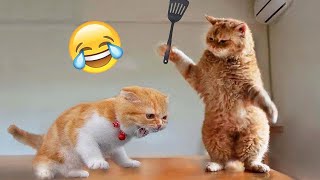 Funniest Cats and Dogs 2024 😹🐶 New Funny Animals Video 😍 Part 10 [upl. by Rebmik]