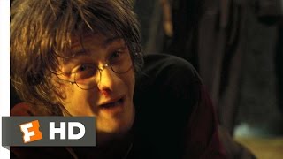 Harry Potter movie clip Harry and Rons fight [upl. by Bollen]