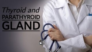 Physiology 707Endocrine3Thyroid amp Parathyroid glandsMedical [upl. by Ellesij977]