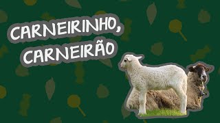 CARNEIRINHO CARNEIRÃO  BEBÊ MAIS FILHOTES [upl. by Acinoryt906]