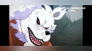 Bepo finally awakened sulong form 🐻‍❄️🔥 onepiece anime [upl. by Airrehs599]