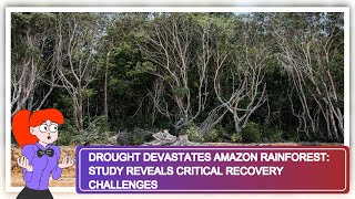 Drought Devastates Amazon Rainforest Study Reveals Critical Recovery Challenges [upl. by Mellitz]