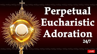 Perpetual Adoration Live  Eucharistic Adoration 247 [upl. by Yelrac]