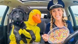 Police Surprises Rubber Ducky amp Puppy with Car Ride Chase [upl. by Nitsir]