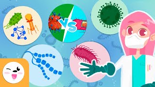 Microorganisms  Compilation Video  Bacteria Viruses and Fungi  Explanation for Kids [upl. by Assyral788]