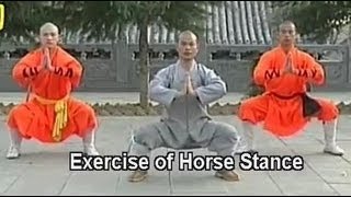 Shaolin Kung Fu basic moves [upl. by Leidba]