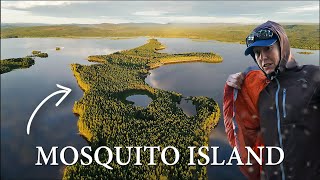 Surviving a MosquitoInfested Island  Canoe Camping Adventure [upl. by Orelee56]