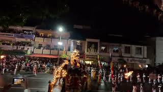 The Kandy Esala Perahera 2024 srilanka [upl. by Steffane874]