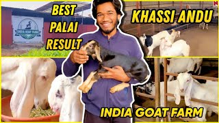 India Goat Farm  Palai SetUp  Farm Space for Rent in Mumbra 💯 Genuine [upl. by Itaws]