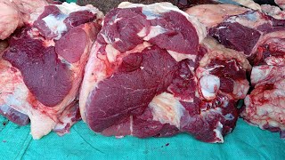 very strong butcher cutting beef slicing  solid meat cutting  chef cutting meat for biriyani [upl. by Ecerahs]