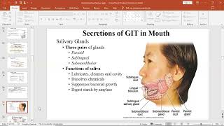 Secretions of the Gastrointestinal System [upl. by Tyre]