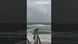 Longboat Key amp Venice Florida [upl. by Shiri]