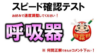 【スピード確認テスト】呼吸器（解剖生理学）聞き流しで点数アップ【理学療法士・作業療法士・言語聴覚士・看護・柔整・鍼灸】 [upl. by Hedveh743]