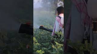 SR430 Mist Blower  Stihl Mist Blower  AgriTech Telugu [upl. by Norita228]